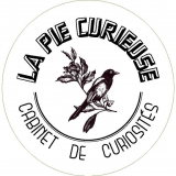 La Pie Curieuse